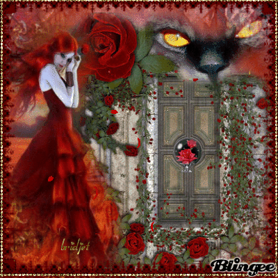 pluie de roses...... pluie de roses......