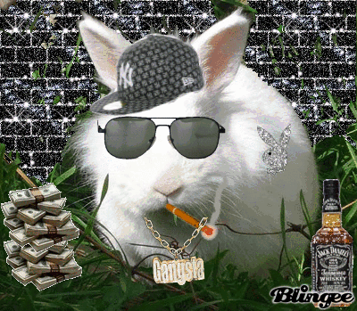 lapin racaille Picture #108138798 Blingee
