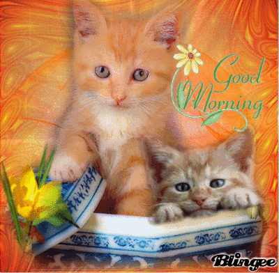 Https Encrypted Tbn0 Gstatic Com Images Q Tbn 3aand9gcrfydxu Xp5jxcdyqwpkj3nffttllez8u36gxcjkgtuh Gphmsv Usqp Cau