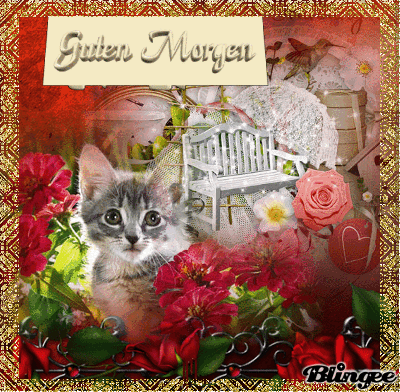 Https Encrypted Tbn0 Gstatic Com Images Q Tbn 3aand9gcrmmf4xt4qwo8wbsjjfyokfdiwzmbtdauwpg1izo6h5p Bcxr5a Usqp Cau