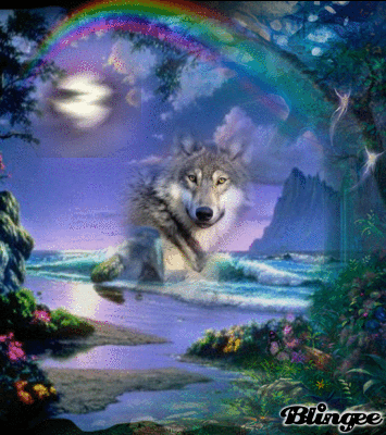 Lupo Romantico Immagini Animate Da Condividere 108431774 Blingee Com