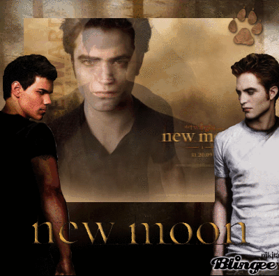 NEW MOON NEW MOON