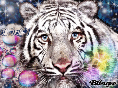 Afficher l'image d'origine