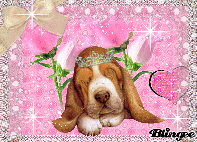 O Basset Hound Animated Picture Codes And Downloads 108588252 600487779 Blingee Com Basset hound animated gifs gallery and basset hound breed, hunting dog with long ears and sad eyes. blingee com