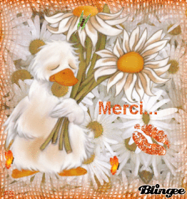 Merci à mes ami(e)s !