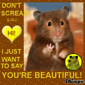 FLATTERING MOUSE FLATTERING MOUSE