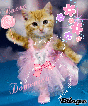 583156906_641864.gif