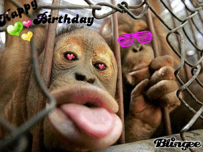 BUON COMPLEANNO AD UN AMICO SPECIALE......FORTUNATO.... 583625286_1028825