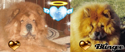 http://image.blingee.com/images17/content/output/000/000/000/67d/583642750_764556.gif