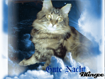 Https Encrypted Tbn0 Gstatic Com Images Q Tbn 3aand9gcqgpiwt90c3iuaaqaku9ejy4gtbiyckqrwx Cmdebtqxzjcsdy6 Usqp Cau