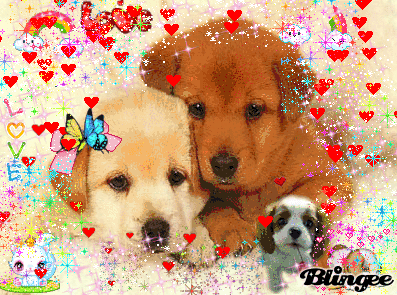 Pulcini Innamorati Pictures P 1 Of 58 Blingee Com