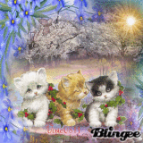 pour rosalie 