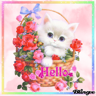 Hello Hello