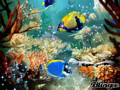 acuario Picture #109537613 | Blingee.com