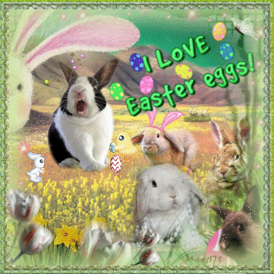 For VictorFan funny Easter card*~ Picture #109604831 | Blingee.com