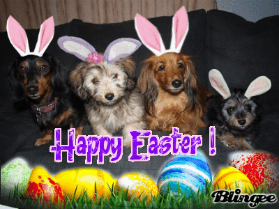 happy easter happy easter