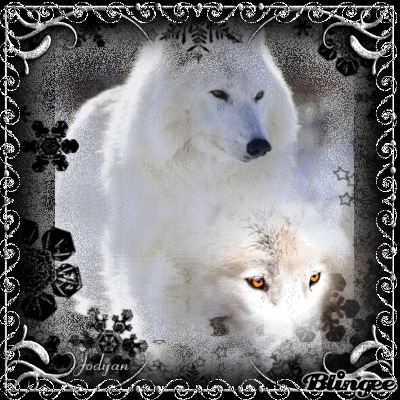 concour animaux blingee (3) le loup blanc concour animaux blingee (3) le loup blanc