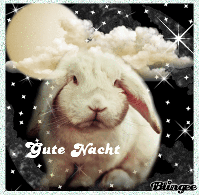 Gute Nacht Bild #109713852 | Blingee.com