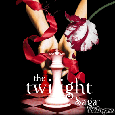 Breaking dawn book report help