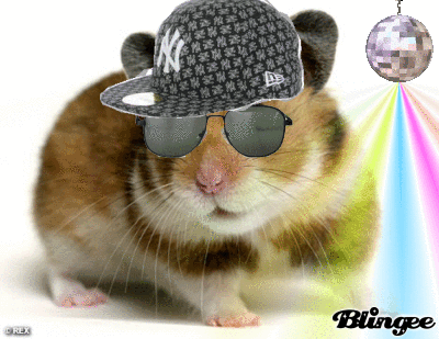 hamster-rock Picture #109931563 | Blingee.com