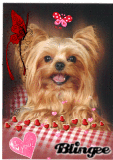 my sweet Heart