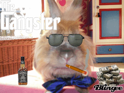 rabbit gangster picture 110180546 blingee com