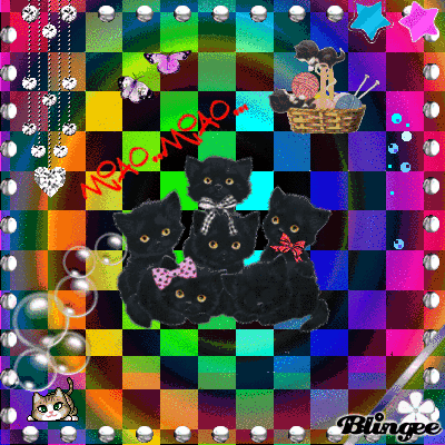 Immagine Gatti Neri Divertenti 110266372 Blingee Com