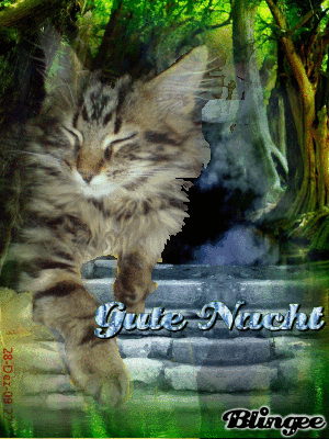 Download Blingee Gute Nacht Gif Kostenlos Pictures