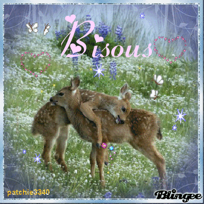 BISOUS FAONS