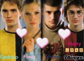 Os participantes Os participantes