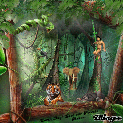 save our earth save our forest Ladies and gentlemen, the title of my speech is “save our earth save our forest” as we know, people from all over the world always commemorate earth day every 22nd april we will write a custom essay sample on. save our earth save our forest Ladies and gentlemen, the title of my speech is “save our earth save our forest” as we know, people from all over the world always commemorate earth day every 22nd april we will write a custom essay sample on.