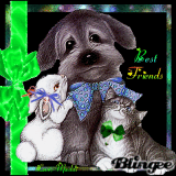 Best Friends - by Maddi 