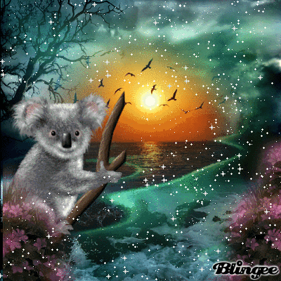 koala Bild #110935735 | Blingee.com