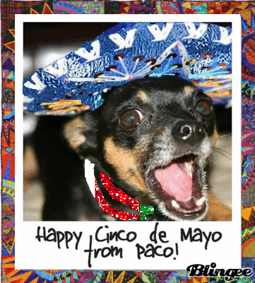 HAPPY CINCO DE MAYO!