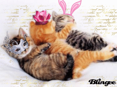 3 petit chat chat chat chapeau de paille...