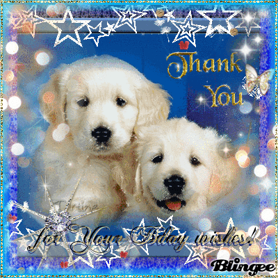 Thank You For Your Bday Wishes Animated Picture Codes And Downloads