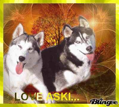 Aski Picture 111275649 Blingee Com Ankara büyükşehir belediyesi su ve kanalizasyon i̇daresi ya da kısa ve yaygın ismiyle aski̇. blingee com