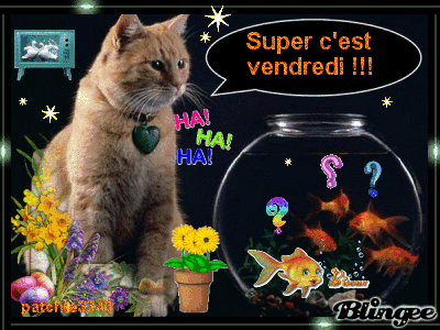 SUPER C'EST VENDREDI !!!
