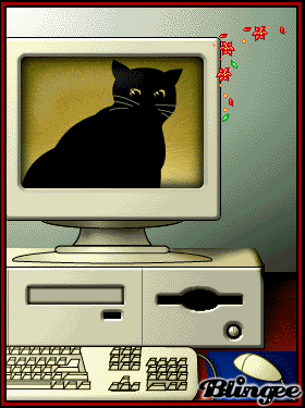 Поговорим о кошках 42