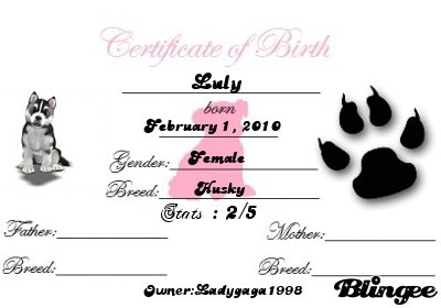 foopet birth certificate picture 111553770 blingee com make your own birth certificate online for free