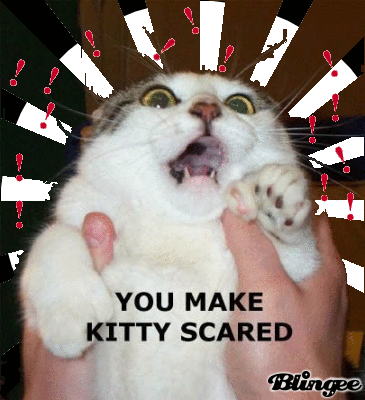 You Scare Kitty