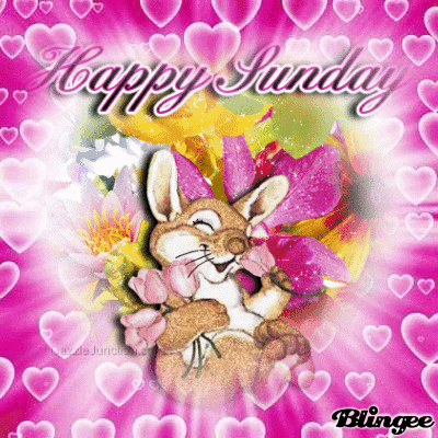 happy sunday for my lovely friends happy sunday for my lovely friends