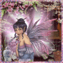 Geisha Fairy