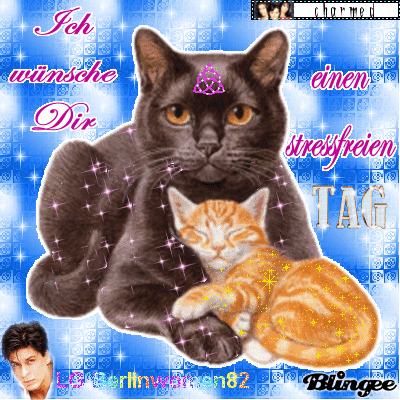 Einen Schonen Und Stressfreien Animated Picture Codes And Downloads Blingee Com