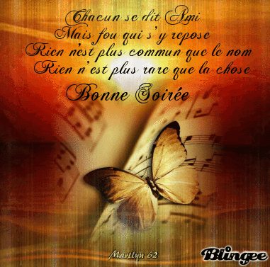 BONNE SOIREE ... GOOD EVENING