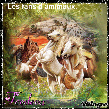 613232354_598510.gif?4