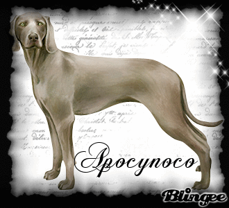Apocynoco Apocynoco