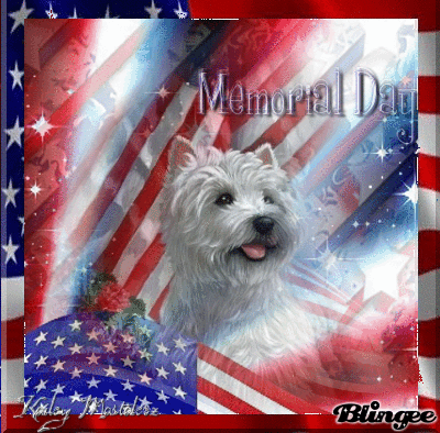 memorial day dog! Picture #112189042 | Blingee.com