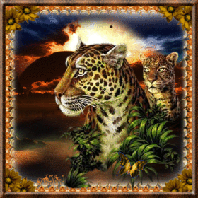 Animated Cheetahs