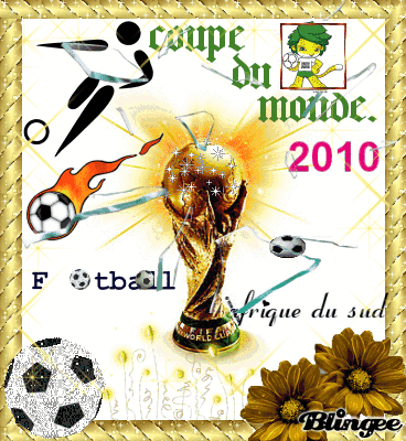 coupe du monde.2010. Picture 112314474